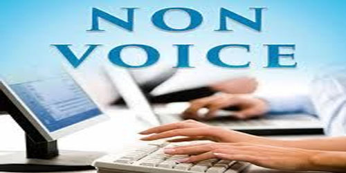 Non voice Executive jobs
